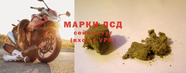 шишки Дмитриев