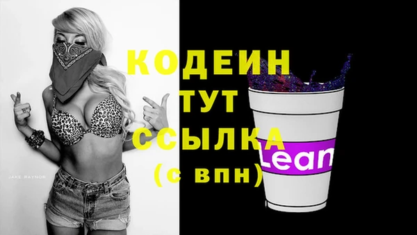 гидра Гусев