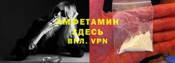шишки Дмитриев