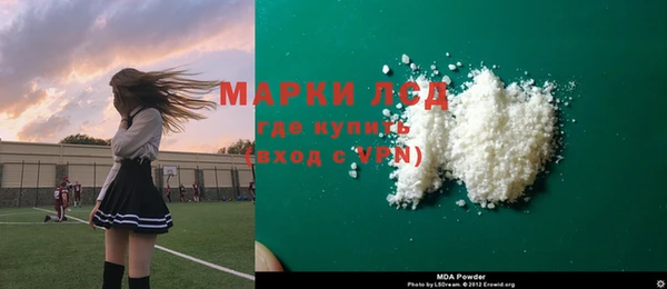 шишки Дмитриев