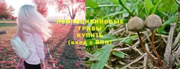 бутират Дмитров