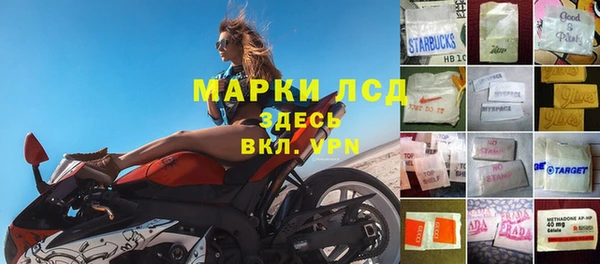 гидра Гусев
