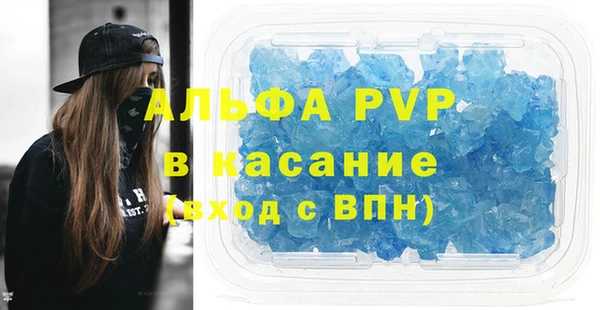 гидра Гусев