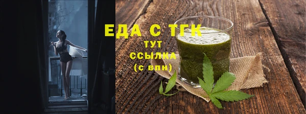 гидра Гусев